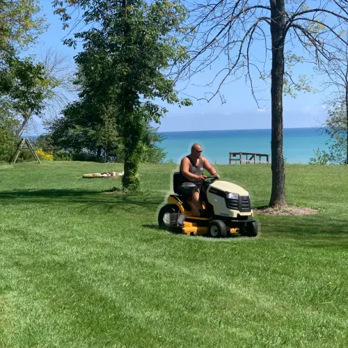 Lawn care picture of cutting grass with riding lawn mower.